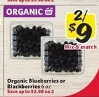 Organic Blueberries or Blackberries