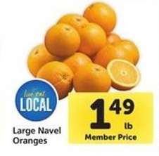 Large Navel Oranges