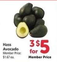 Hass Avocado