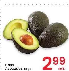 Hass Avocados - large