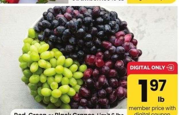 Red, Green or Black Grapes