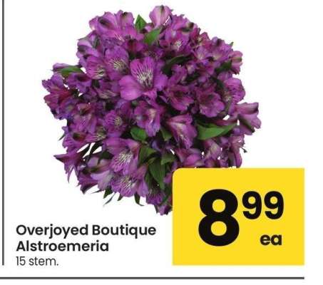 Overjoyed Boutique Alstroemeria - 15 stem.