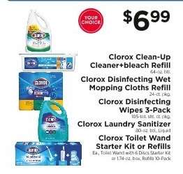 Clorox Products