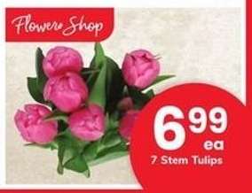 7 Stem Tulips