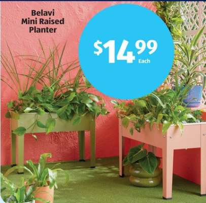 Belavi Mini Raised Planter