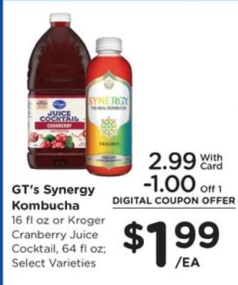 GT's Synergy Kombucha