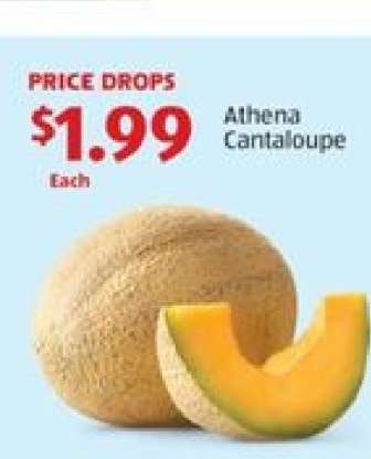 Athena Cantaloupe
