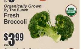 Fresh Broccoli