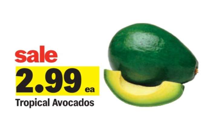 Tropical Avocados