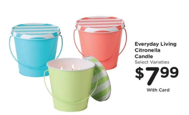 Everyday Living Citronella Candle
