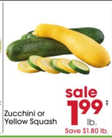 Zucchini or Yellow Squash