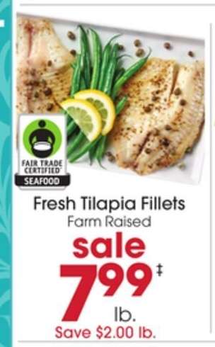 Fresh Tilapia Fillets