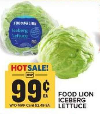 FOOD LION ICEBERG LETTUCE