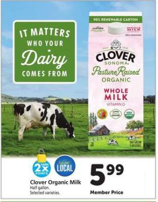 Clover Organic Milk