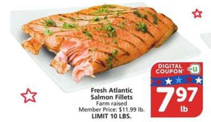 Fresh Atlantic Salmon Fillets