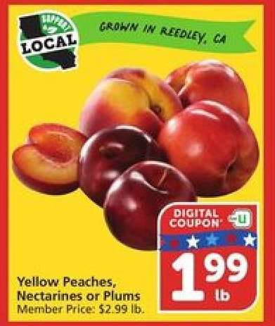 Yellow Peaches, Nectarines or Plums