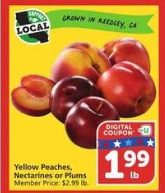 Yellow Peaches, Nectarines or Plums