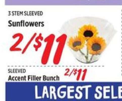 Sunflowers