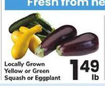 Locally Grown Yellow or Green Squash or Eggplant