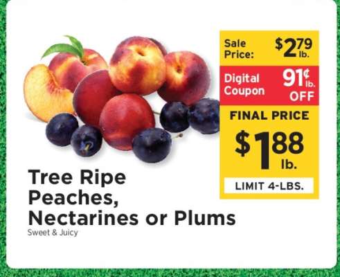 Tree Ripe Peaches, Nectarines or Plums