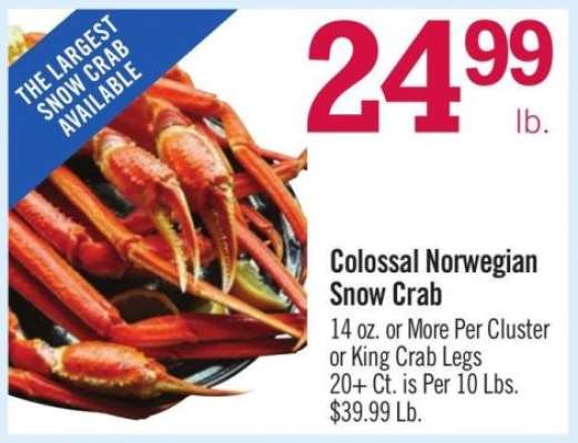 Colossal Norwegian Snow Crab