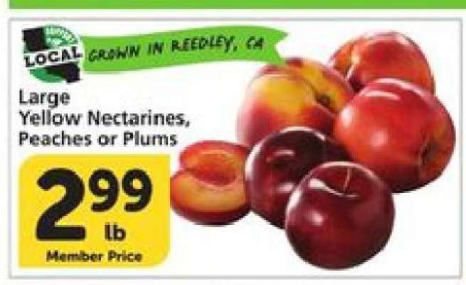 Large Yellow Nectarines, Peaches or Plums