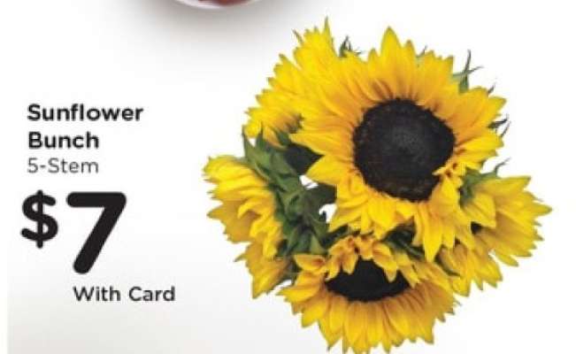 Sunflower Bunch