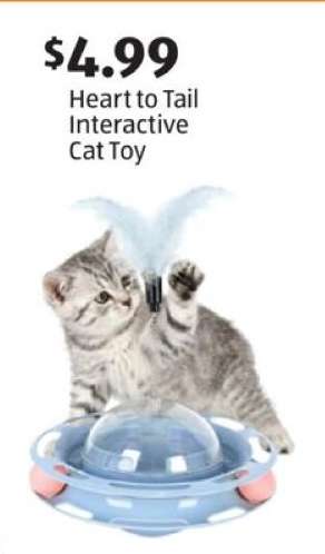 Heart to Tail Interactive Cat Toy