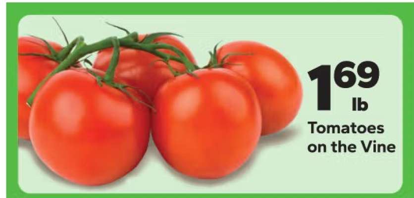 Tomatoes on the Vine