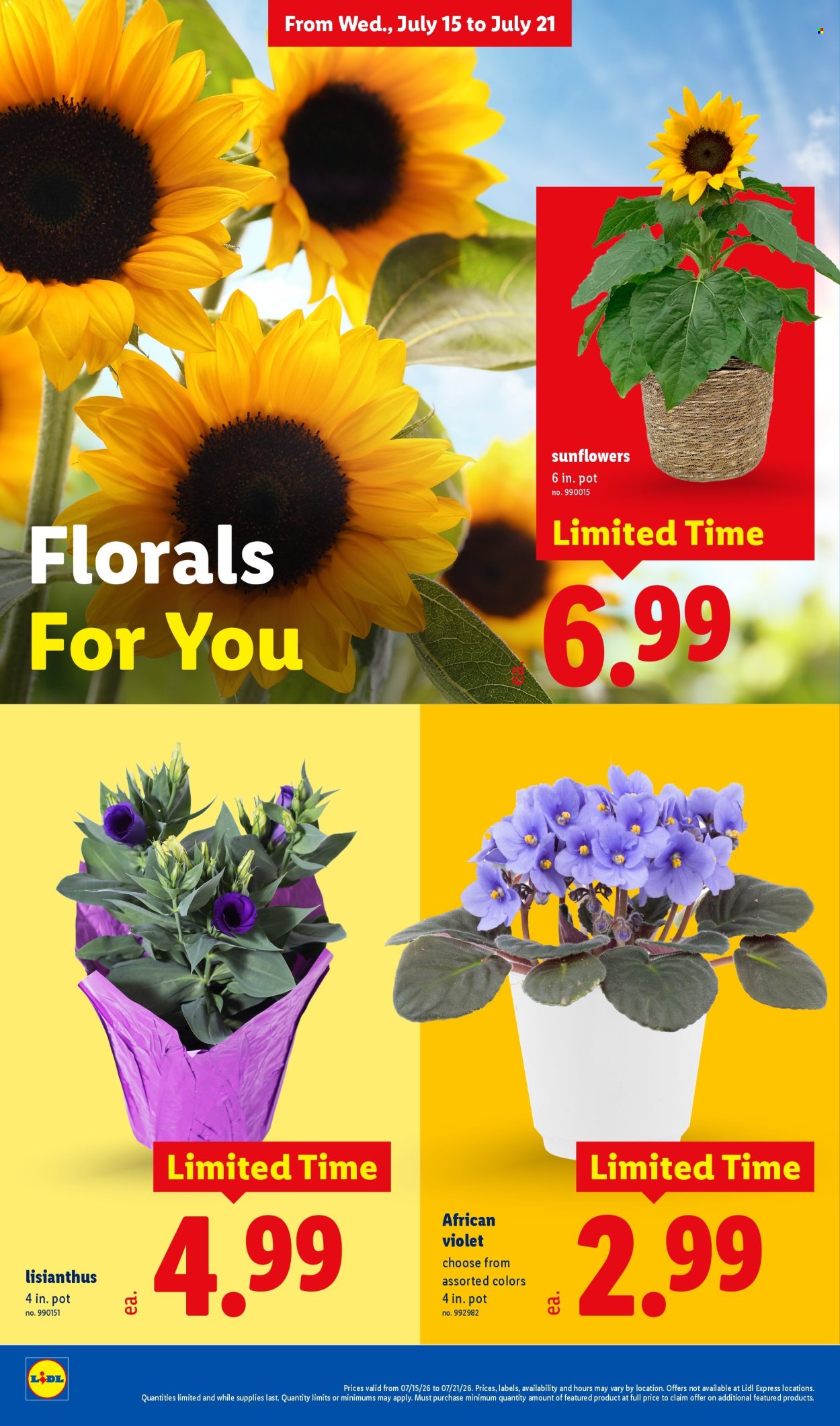 Lidl ad  - 07.15.2026 - 07.21.2026. Page 30