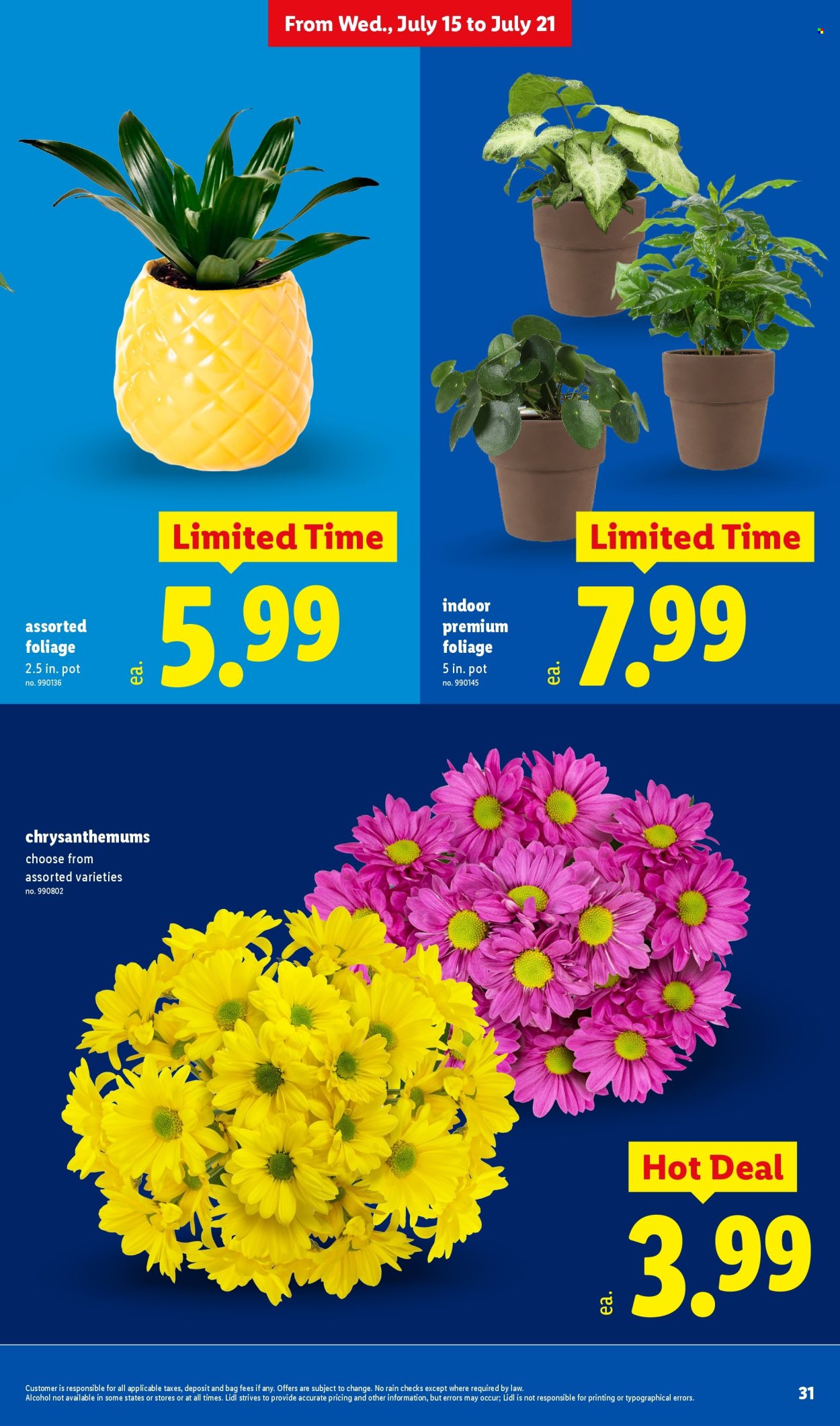 Lidl ad  - 07.15.2026 - 07.21.2026. Page 31