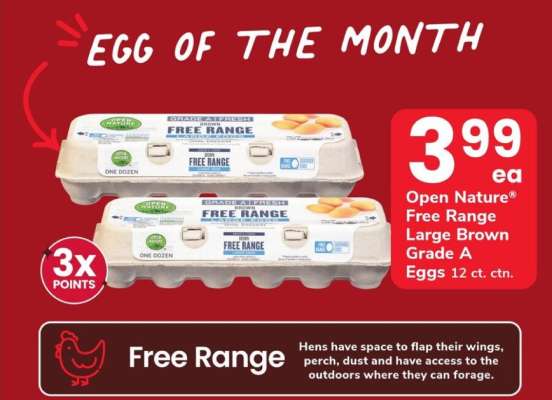 Open Nature Free Range Eggs