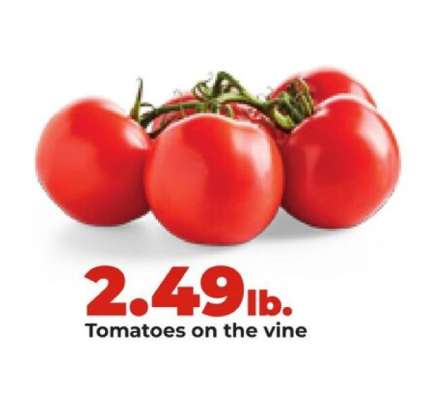 Tomatoes on the Vine