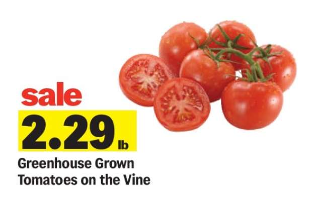 Greenhouse Grown Tomatoes on the Vine