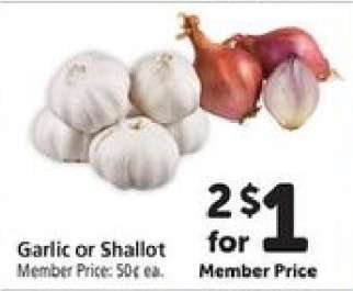 Garlic or Shallot