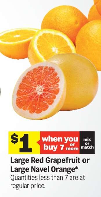 Large Red Grapefruit or Large Navel Orange
