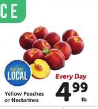 Yellow Peaches or Nectarines