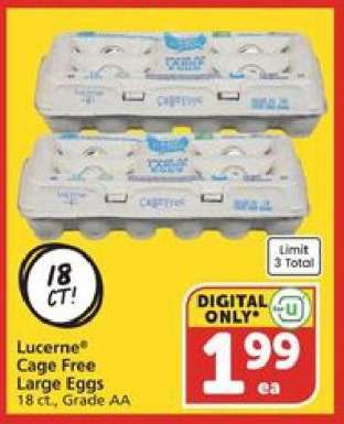 Lucerne Cage Free Large Eggs