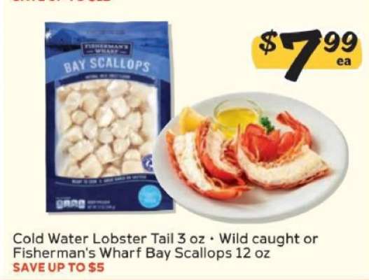 Cold Water Lobster Tail or Fisherman's Wharf Bay Scallops