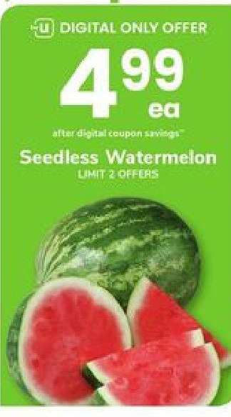 Seedless Watermelon