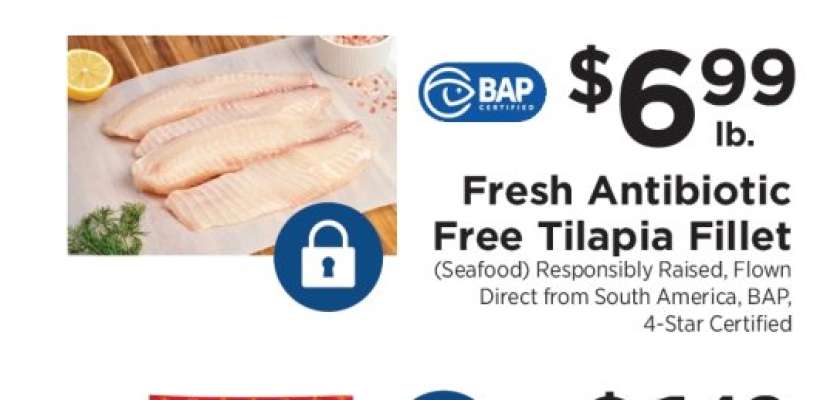 Fresh Antibiotic Free Tilapia Fillet
