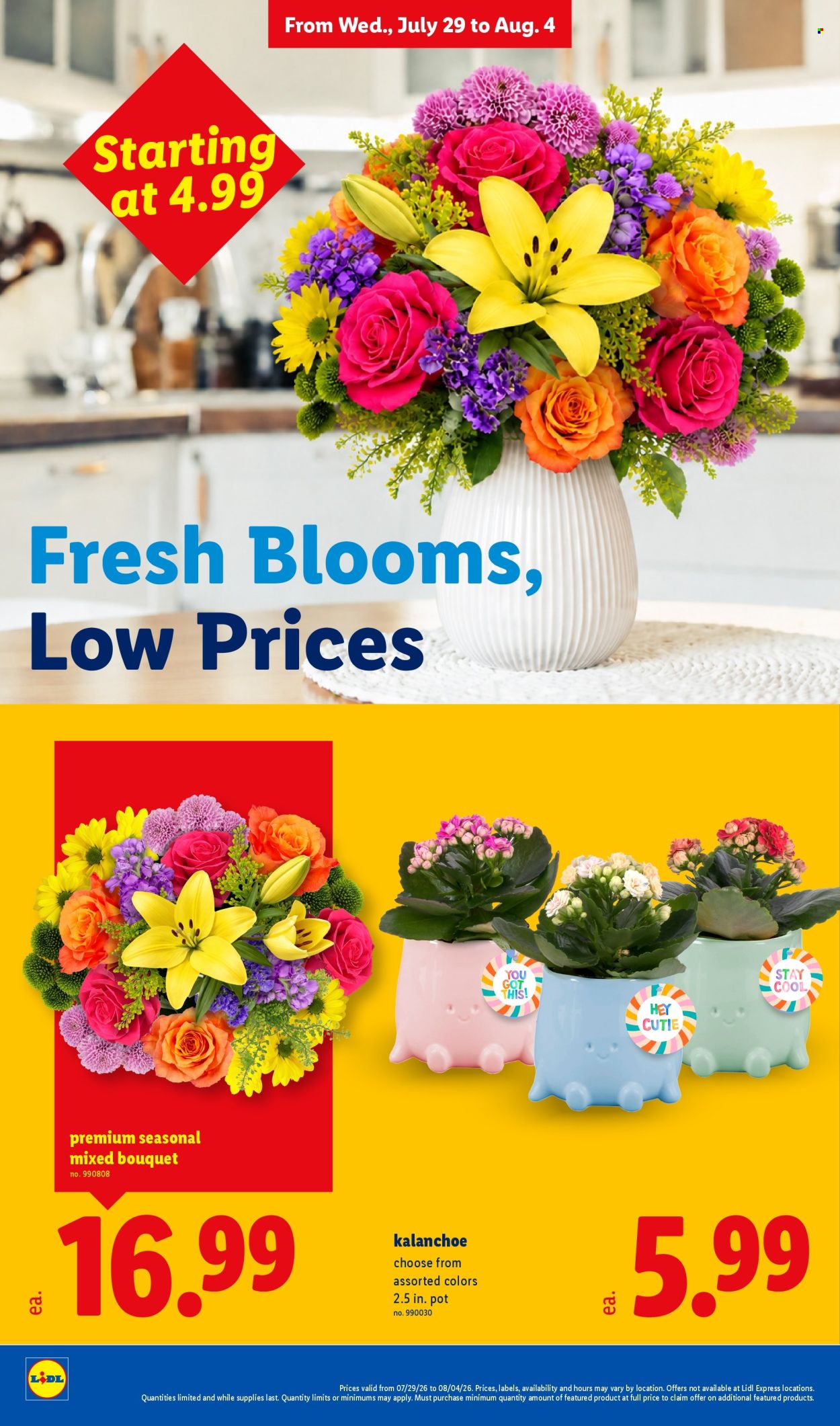 Lidl ad  - 07.29.2026 - 08.04.2026. Page 34