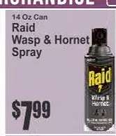 Raid Wasp & Hornet Spray