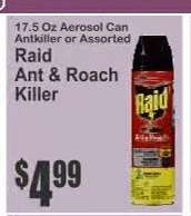 Raid Ant & Roach Killer