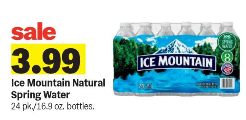 Ice Mountain Natural Spring Water