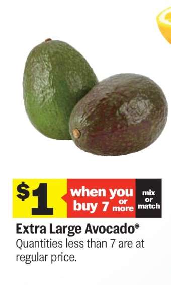 Extra Large Avocado
