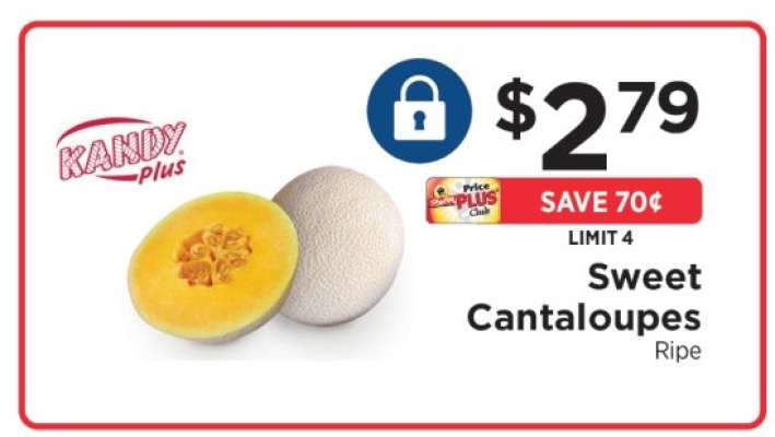 Kandy Plus Sweet Cantaloupes