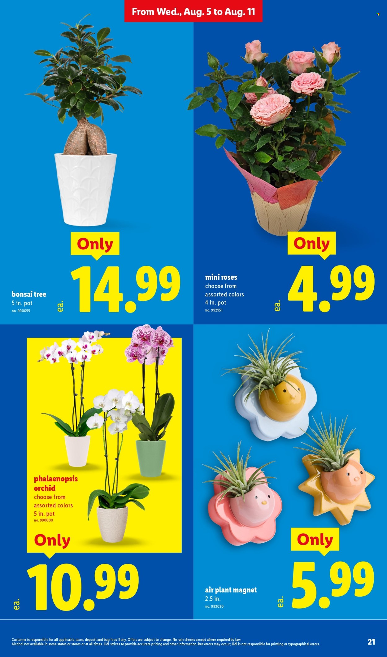 Lidl ad  - 08.05.2026 - 08.11.2026. Page 21