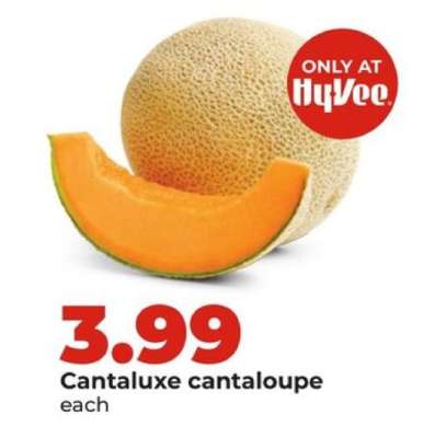 Cantaluxe cantaloupe