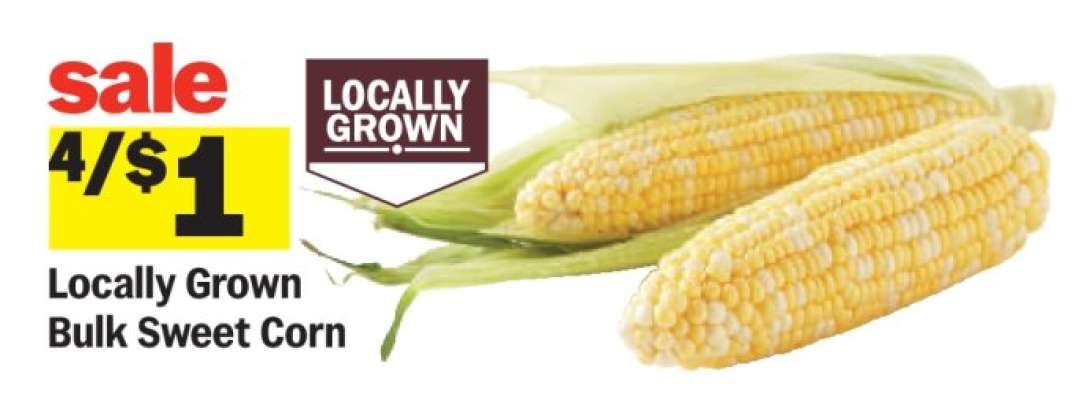 Locally Grown Bulk Sweet Corn